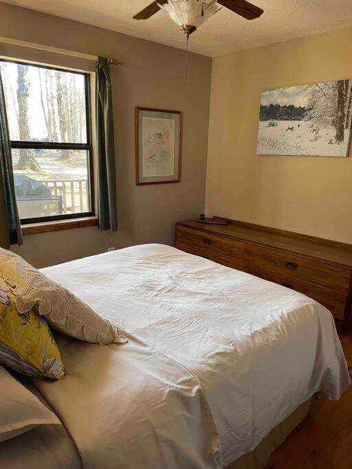 Private Cozy Cabin In The Woods With Great View マーフィ エクステリア 写真