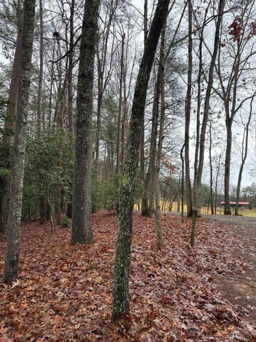 Private Cozy Cabin In The Woods With Great View マーフィ エクステリア 写真